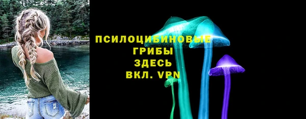стаф Алексеевка