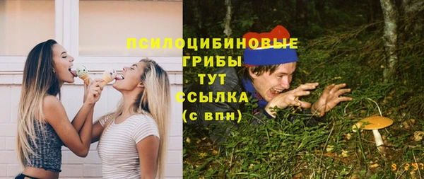 ECSTASY Алексин