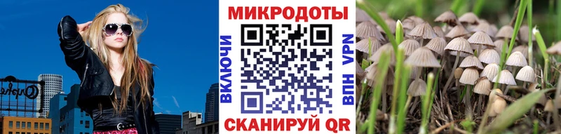 где продают наркотики  Ижевск  OMG ссылки  Псилоцибиновые грибы Cubensis 